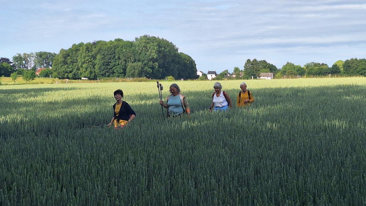 20250615_092808.jpg