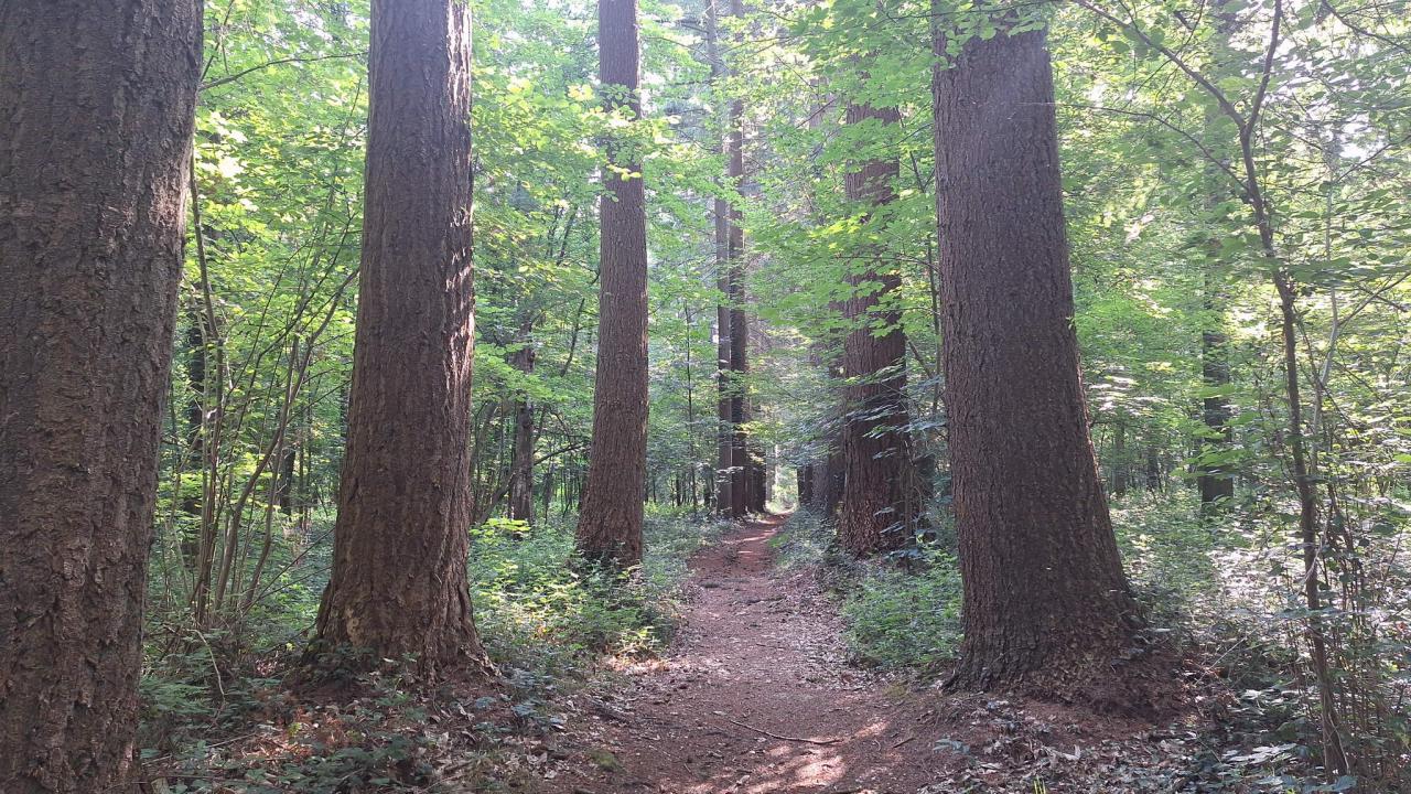 20250615_093137.jpg
