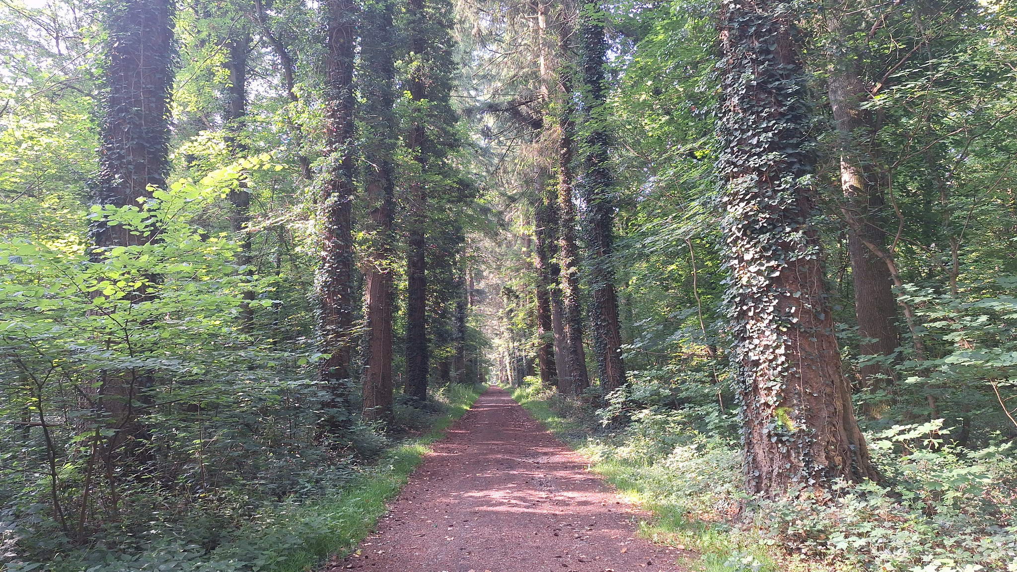 20250615_093327.jpg