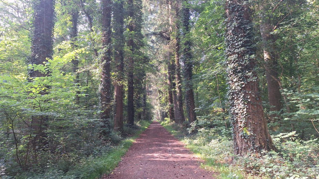 20250615_093327.jpg