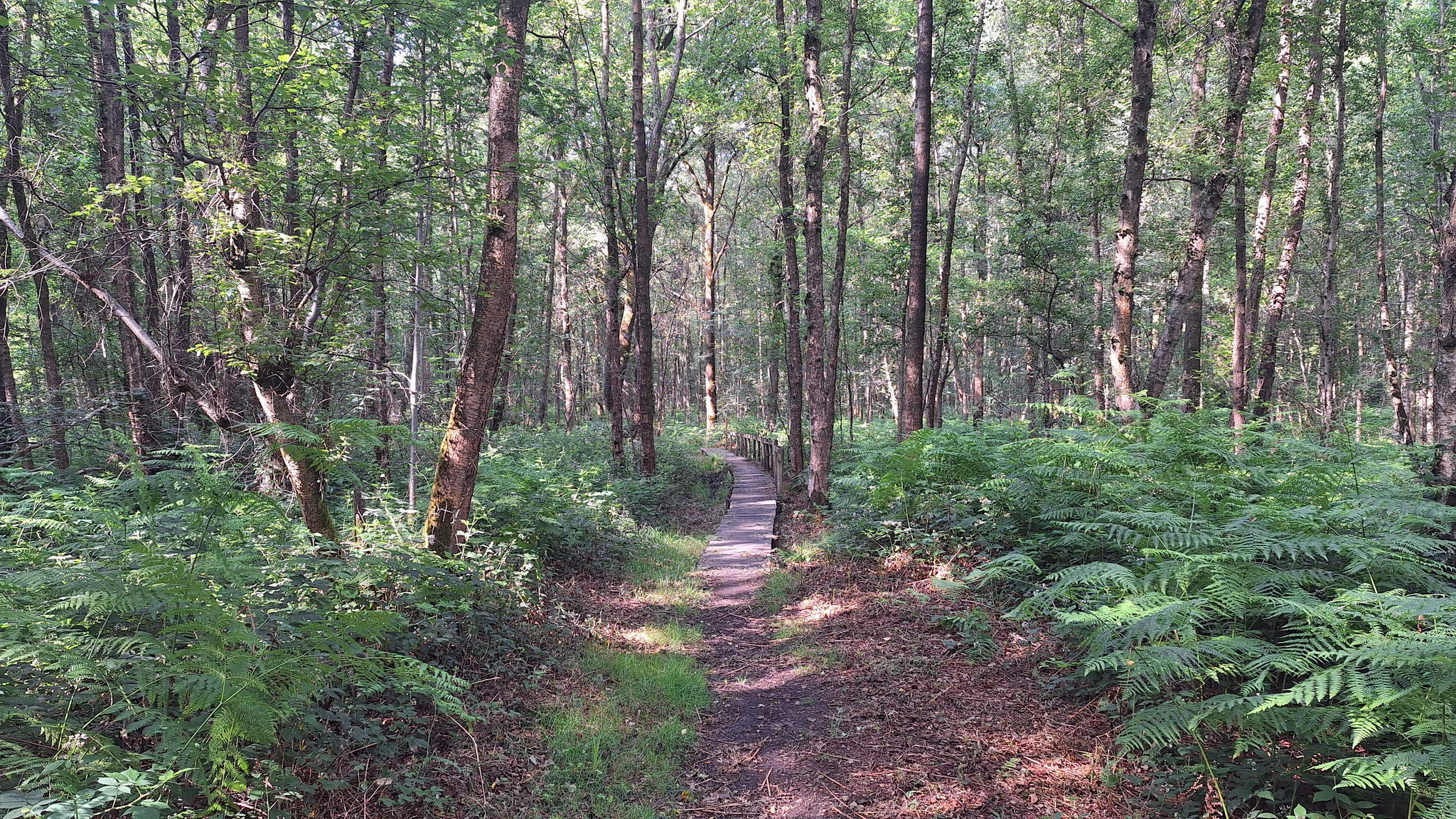 20250615_095001.jpg