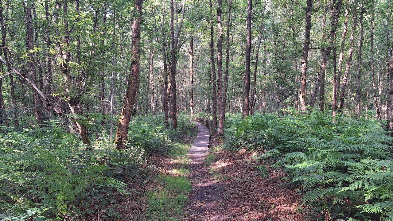 20250615_095001.jpg