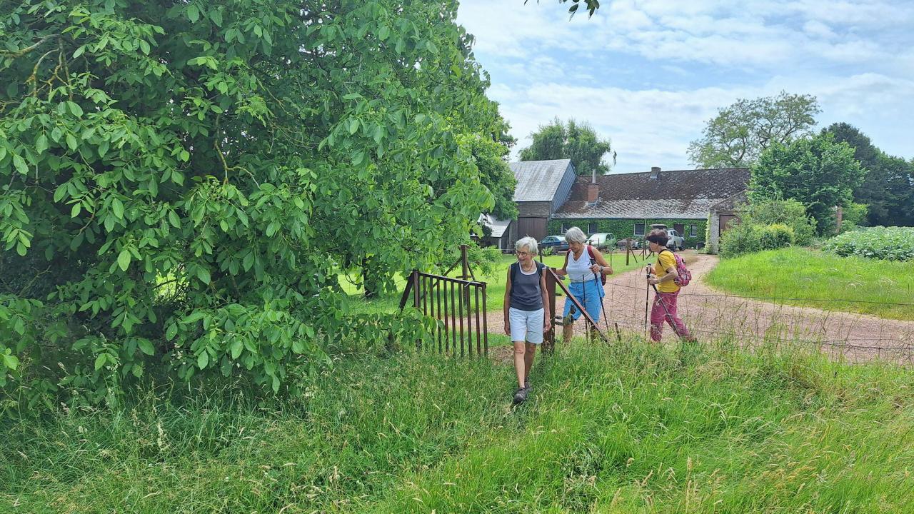 20250615_115705.jpg