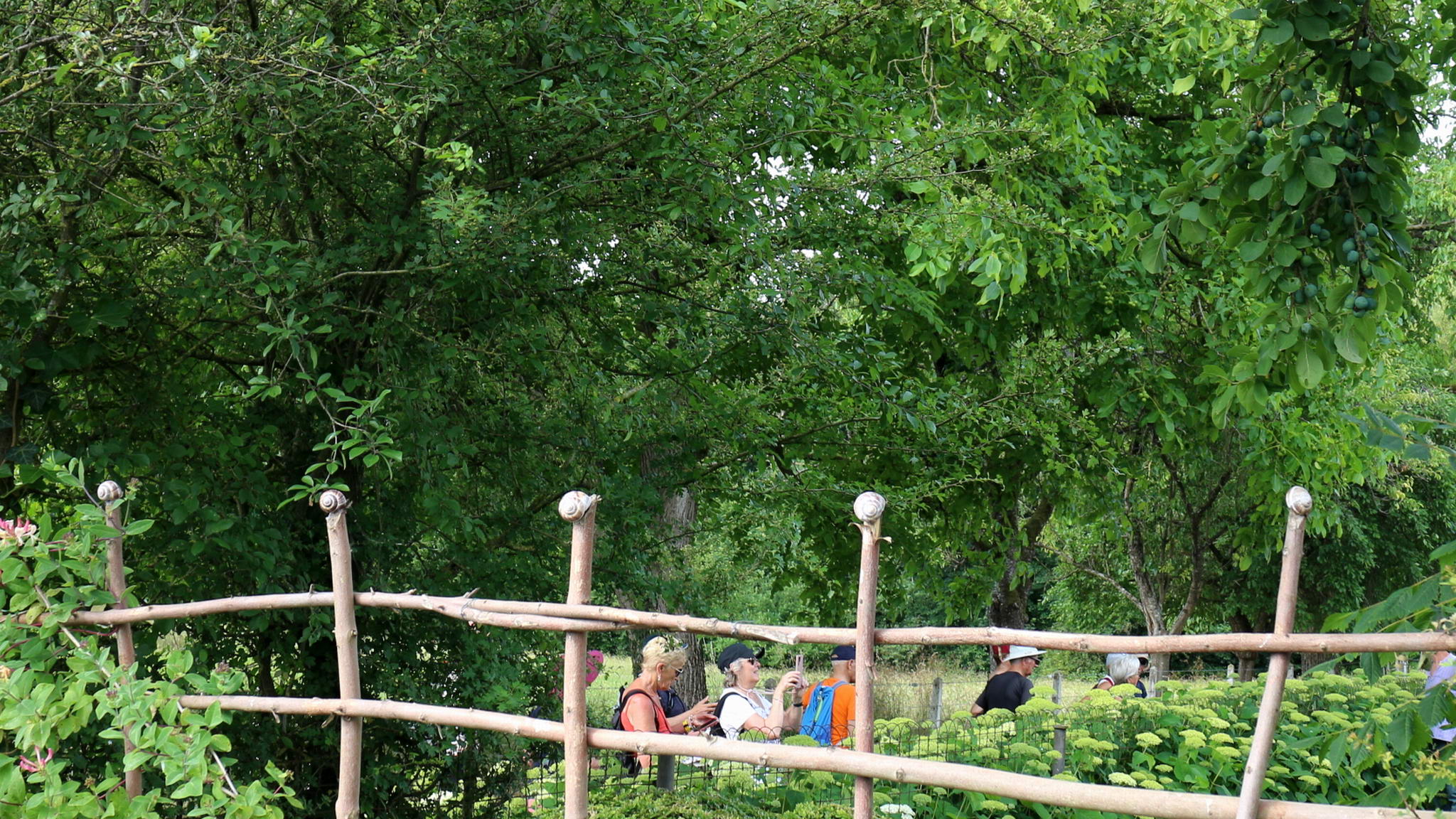 IMG_8282.JPG