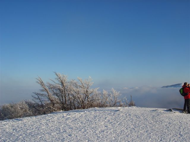 SS851717.JPG