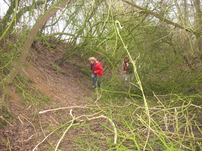 2012_02_26-rando__ Vieux - Reng 032 bis.jpg