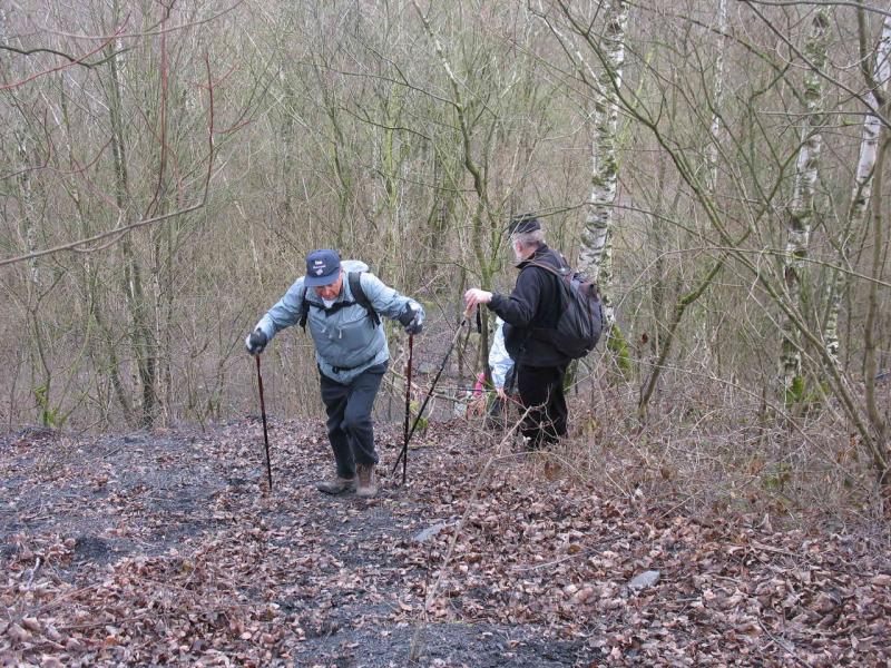 2012_03_18 - rando Raismes 032 bis.jpg