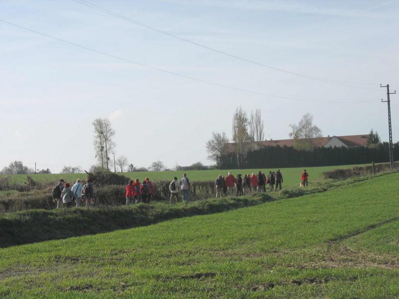 2012_04_01 -rando __ Gommegnies 006 bis.jpg