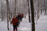 2010-01-21 la bresse 218.JPG