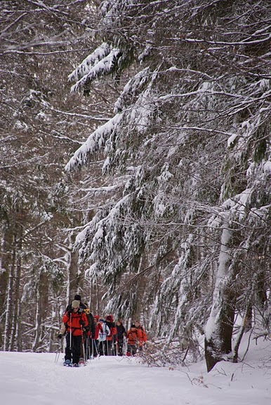 2010-01-21 la bresse 355.JPG