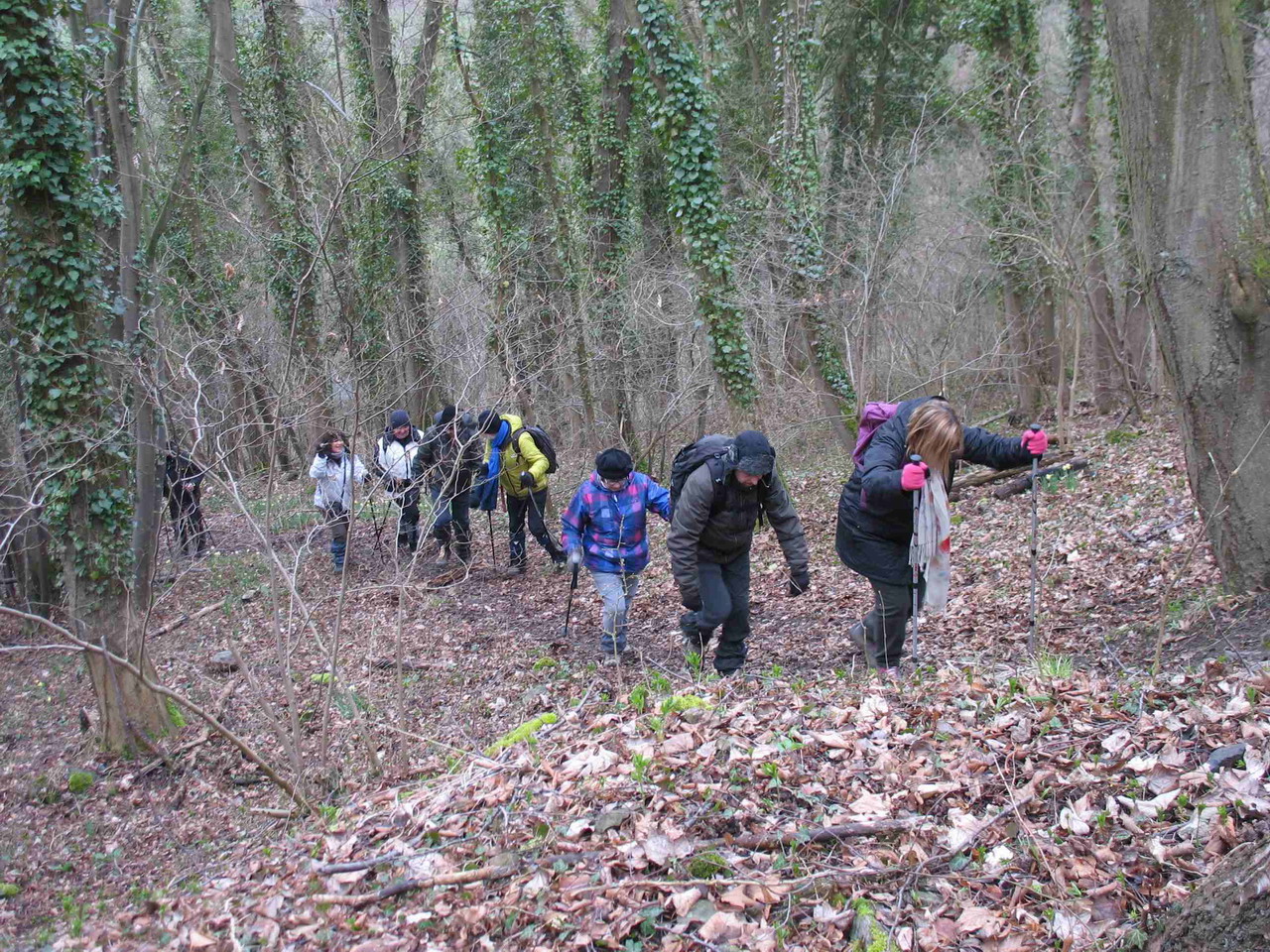 2013_03_24- GUSSIGNIES 048 BIS.jpg