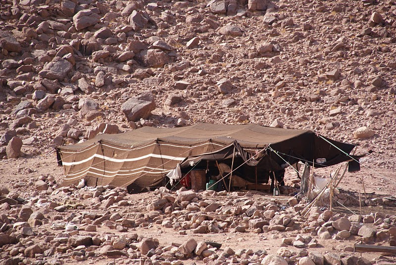 2010-10-21 jordanie bernard 312.JPG