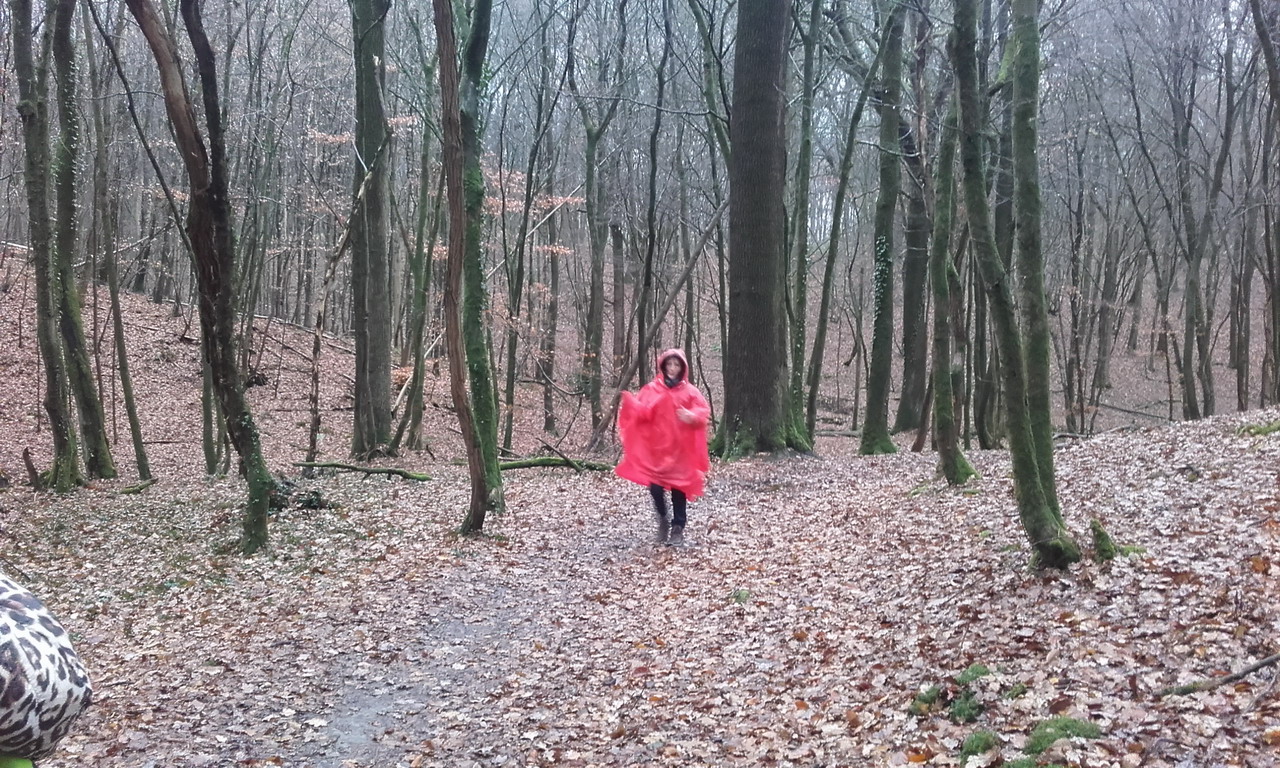 20191208_094047.jpg