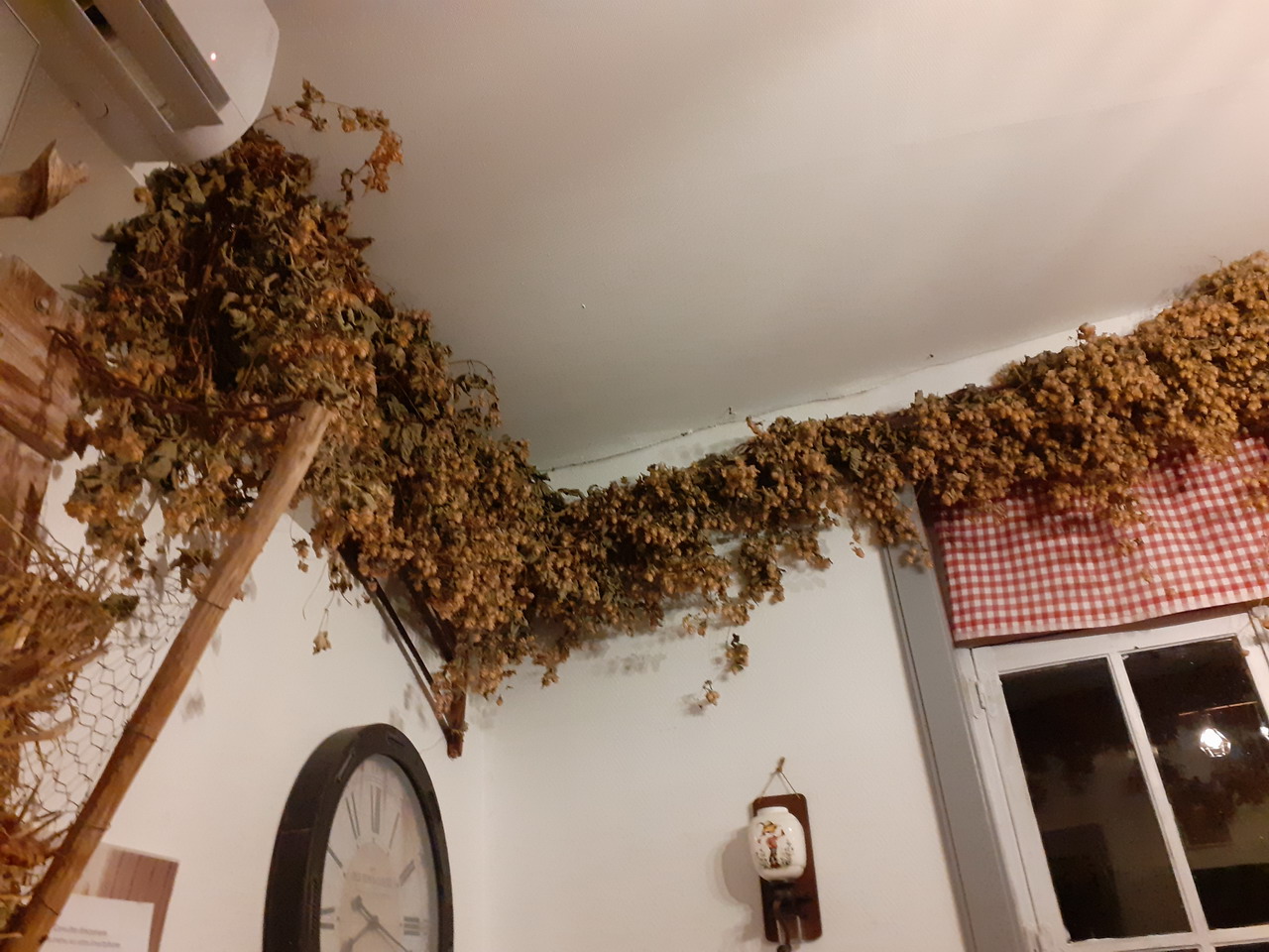 20201002_201634.jpg