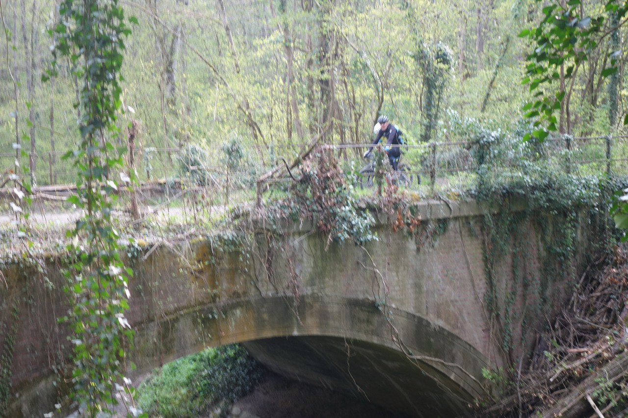DSC01162.JPG