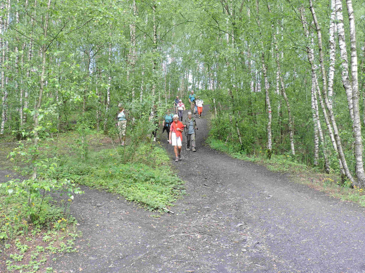 DSCN5478 -0.JPG