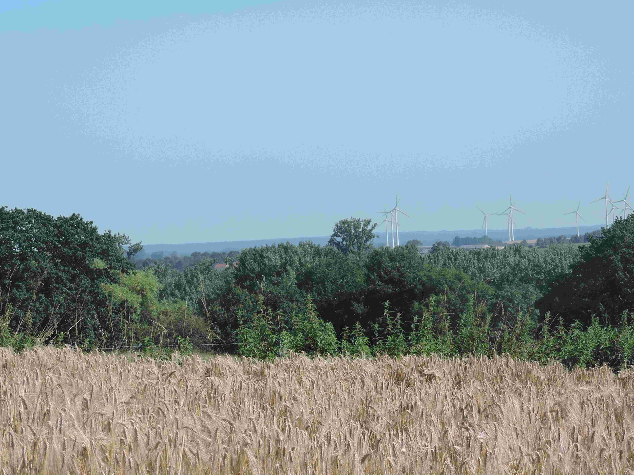 DSCN5517 -0.JPG