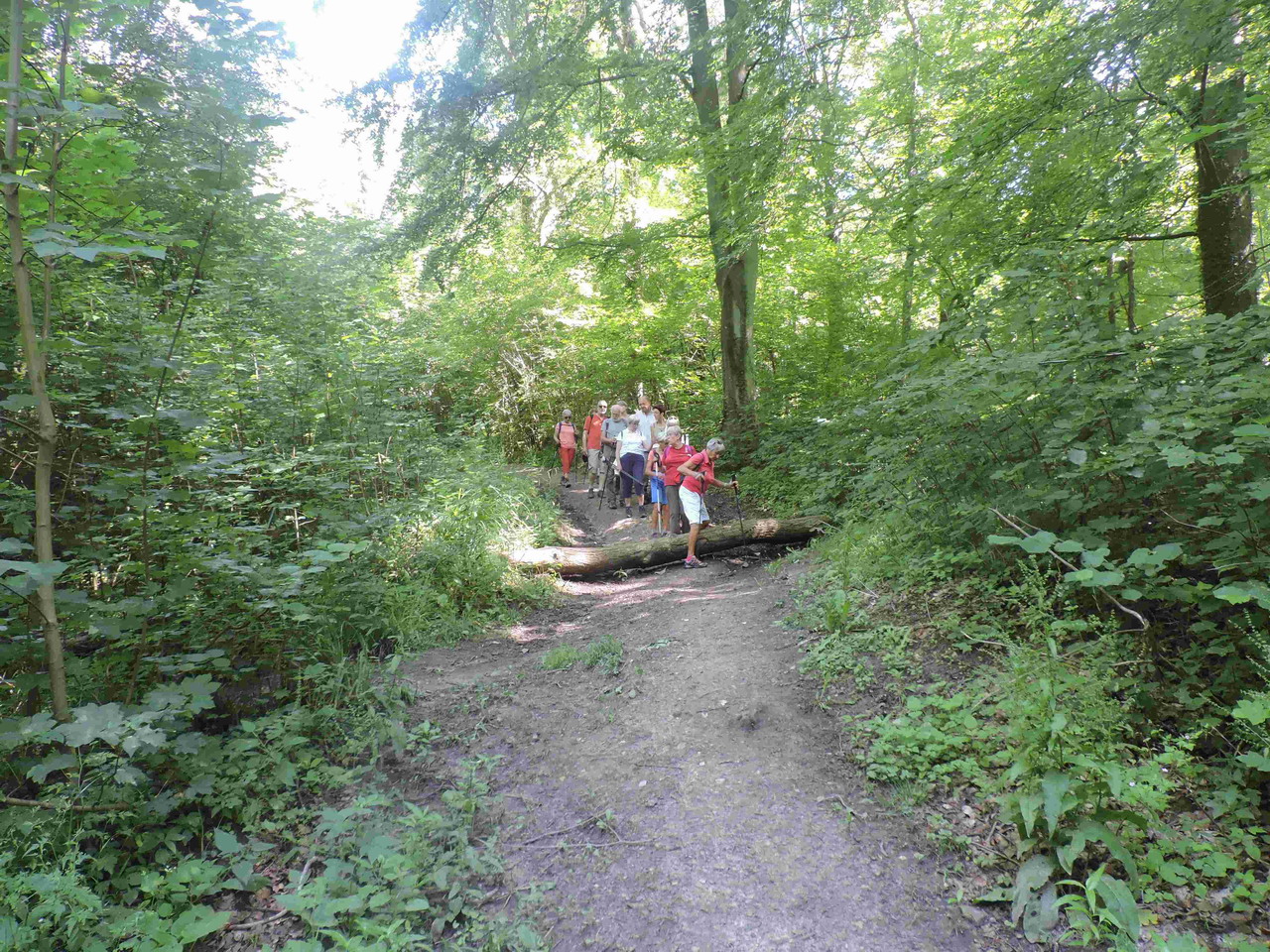 DSCN5533 -0.JPG