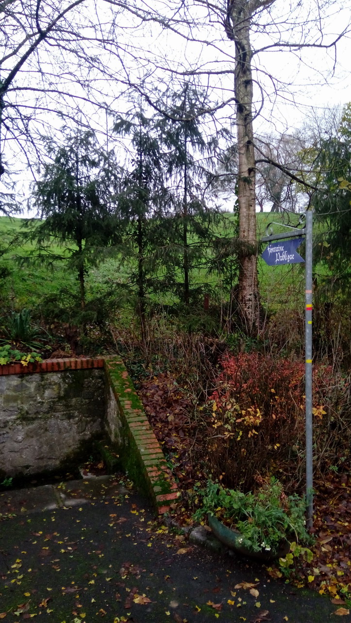 P_20211128_101419.jpg