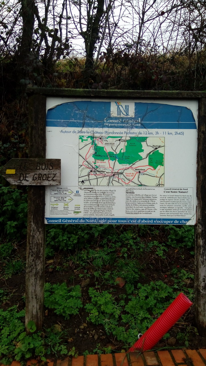 P_20211128_101615.jpg