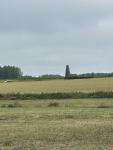 IMG_7473.jpeg