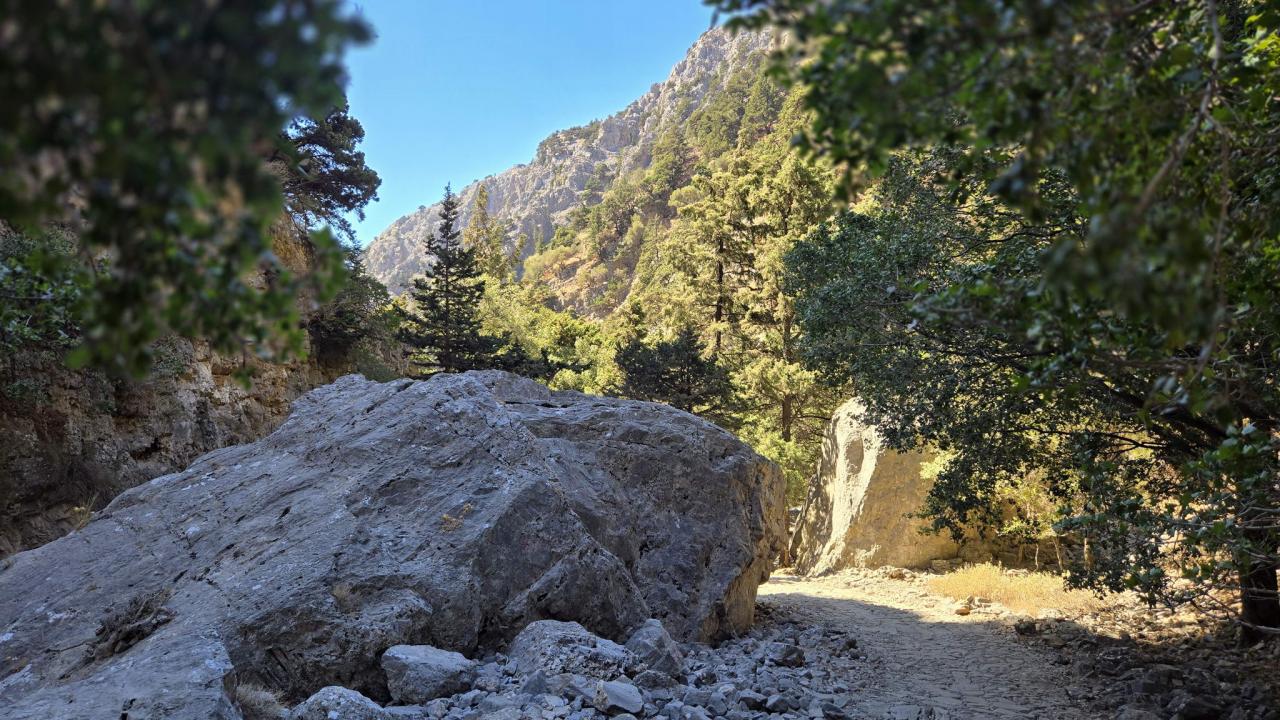 20250917_120022.jpg