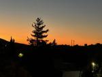 20250919_063900-IMG_9224.jpg