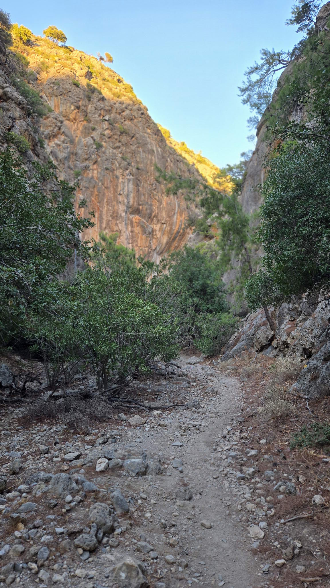 20250921_185306.jpg