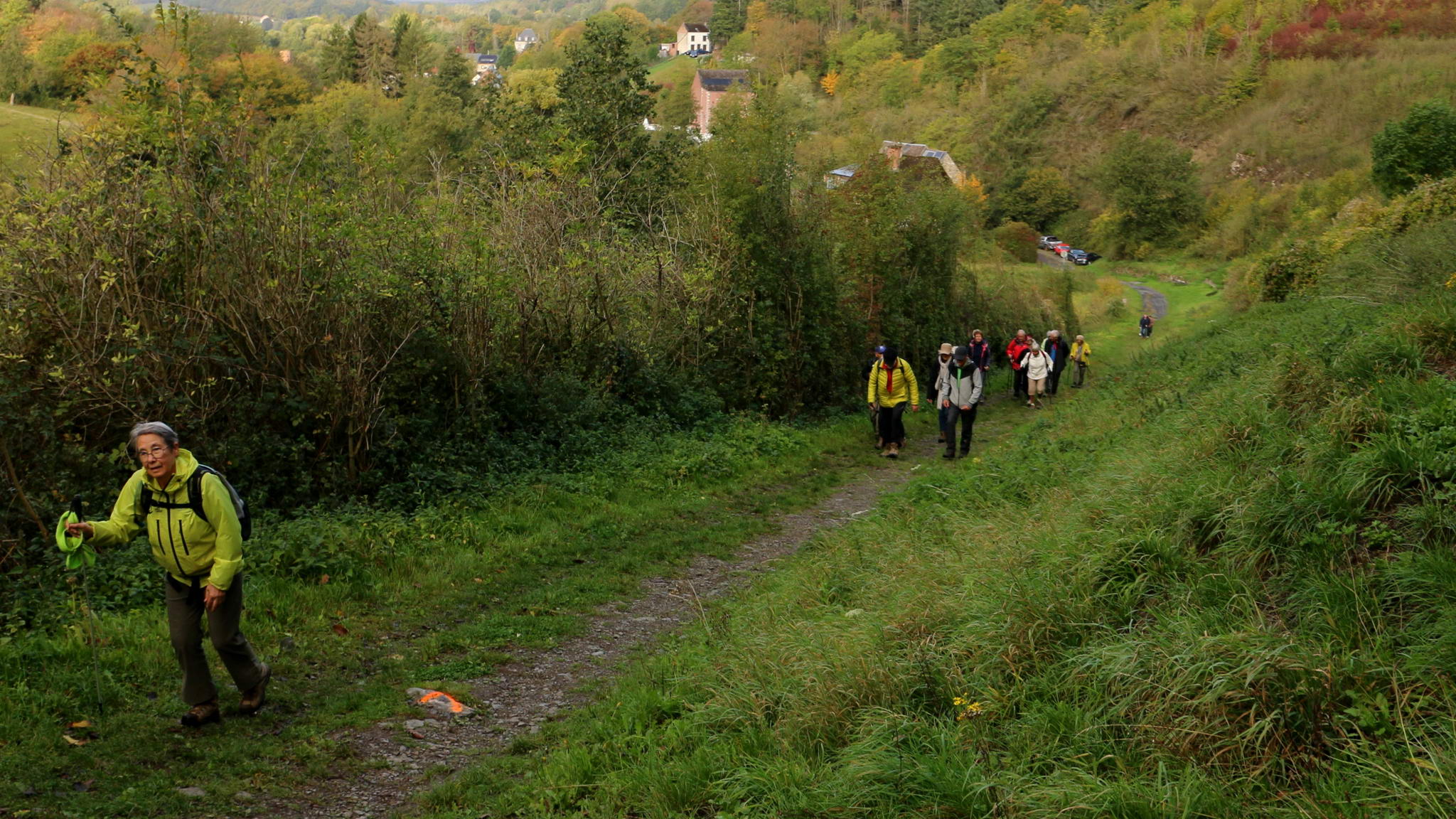 IMG_8337.JPG