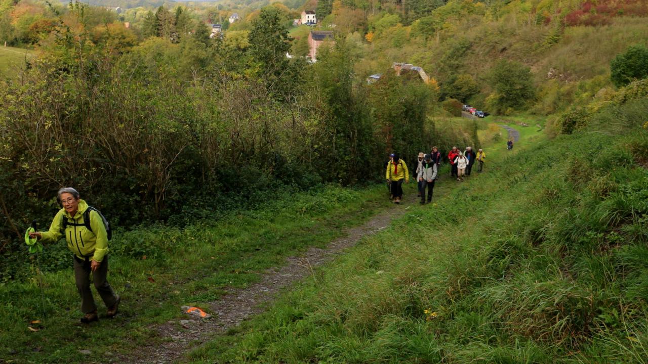 IMG_8337.JPG