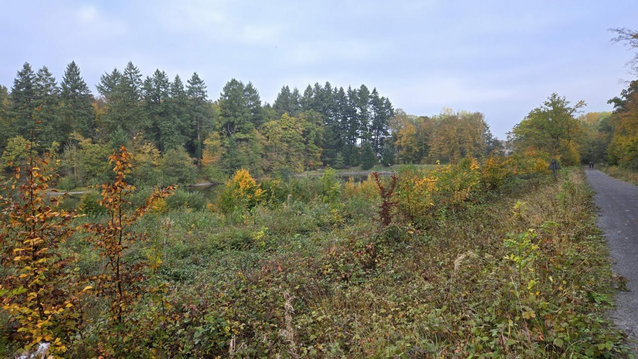 20251012_103455.jpg