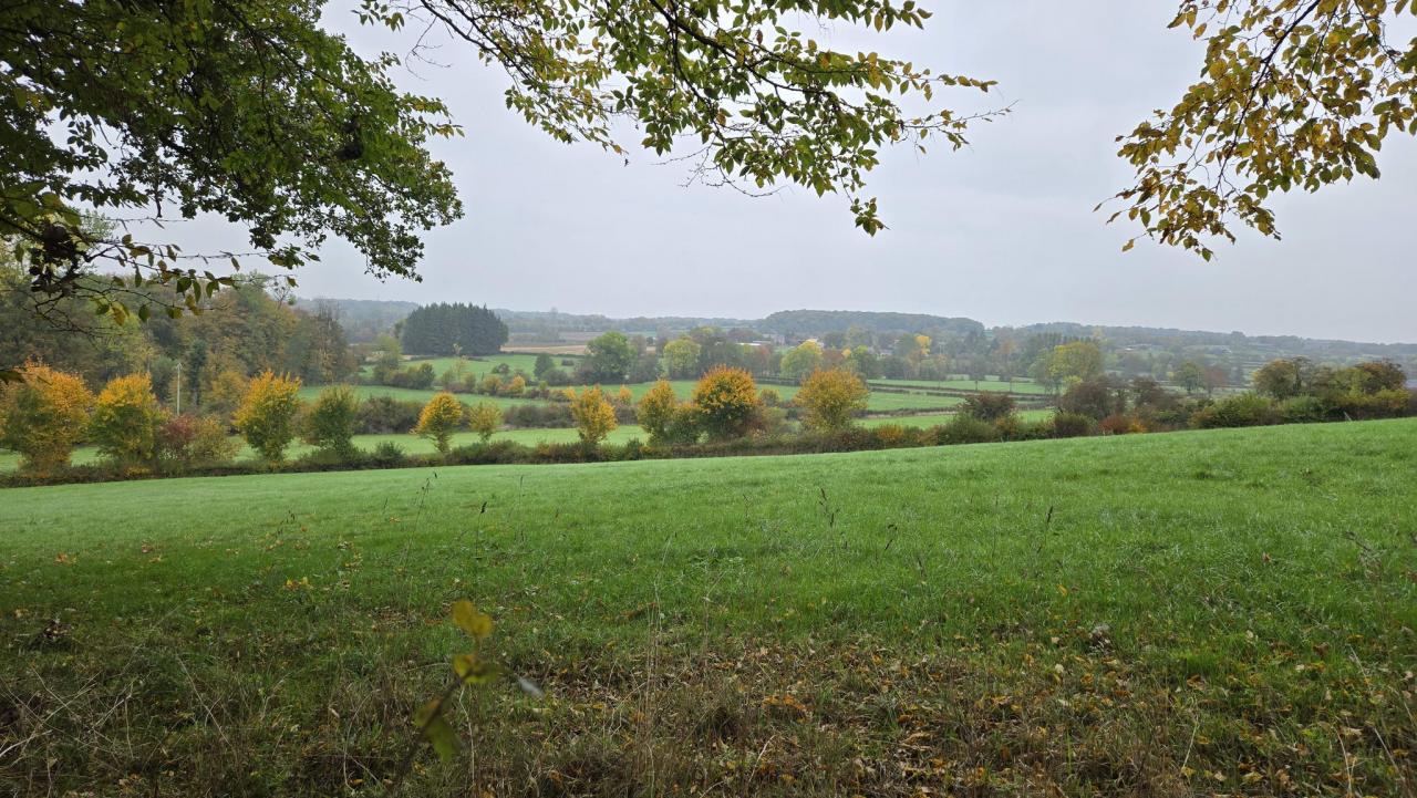 20251012_114414.jpg