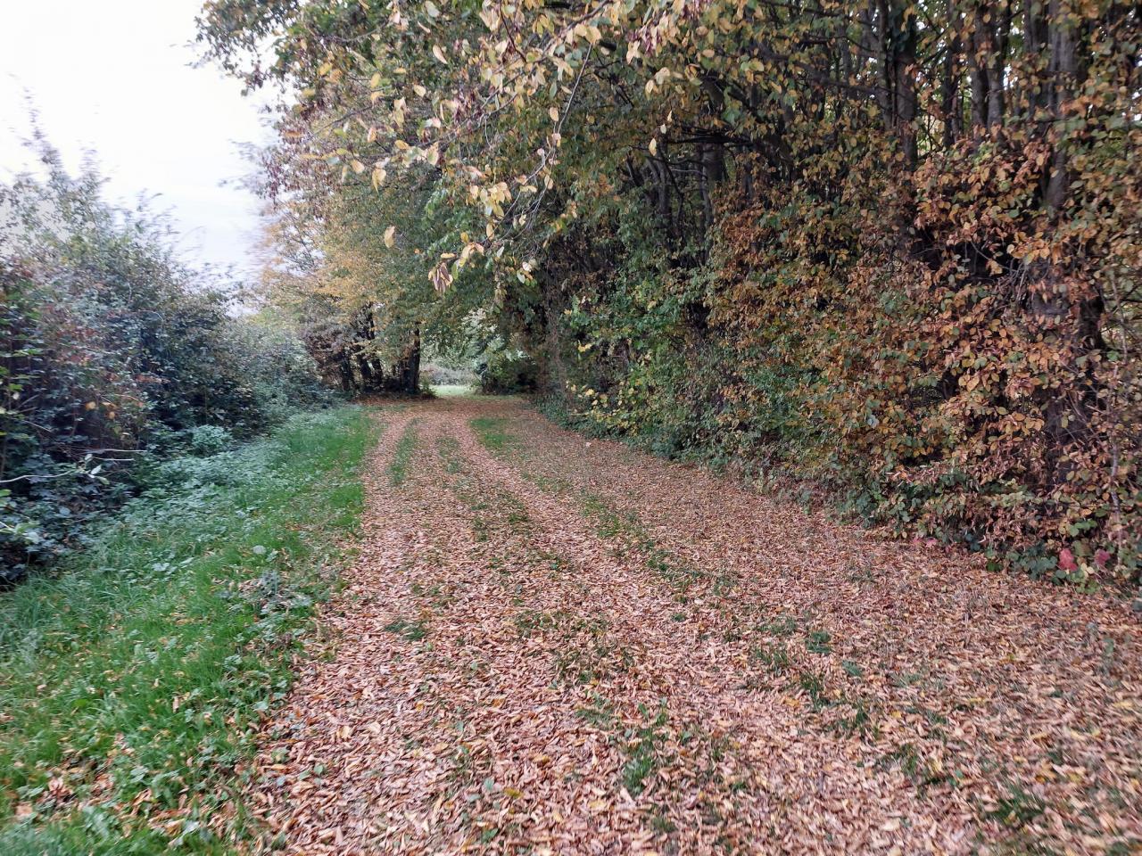 20251019_102437.jpg