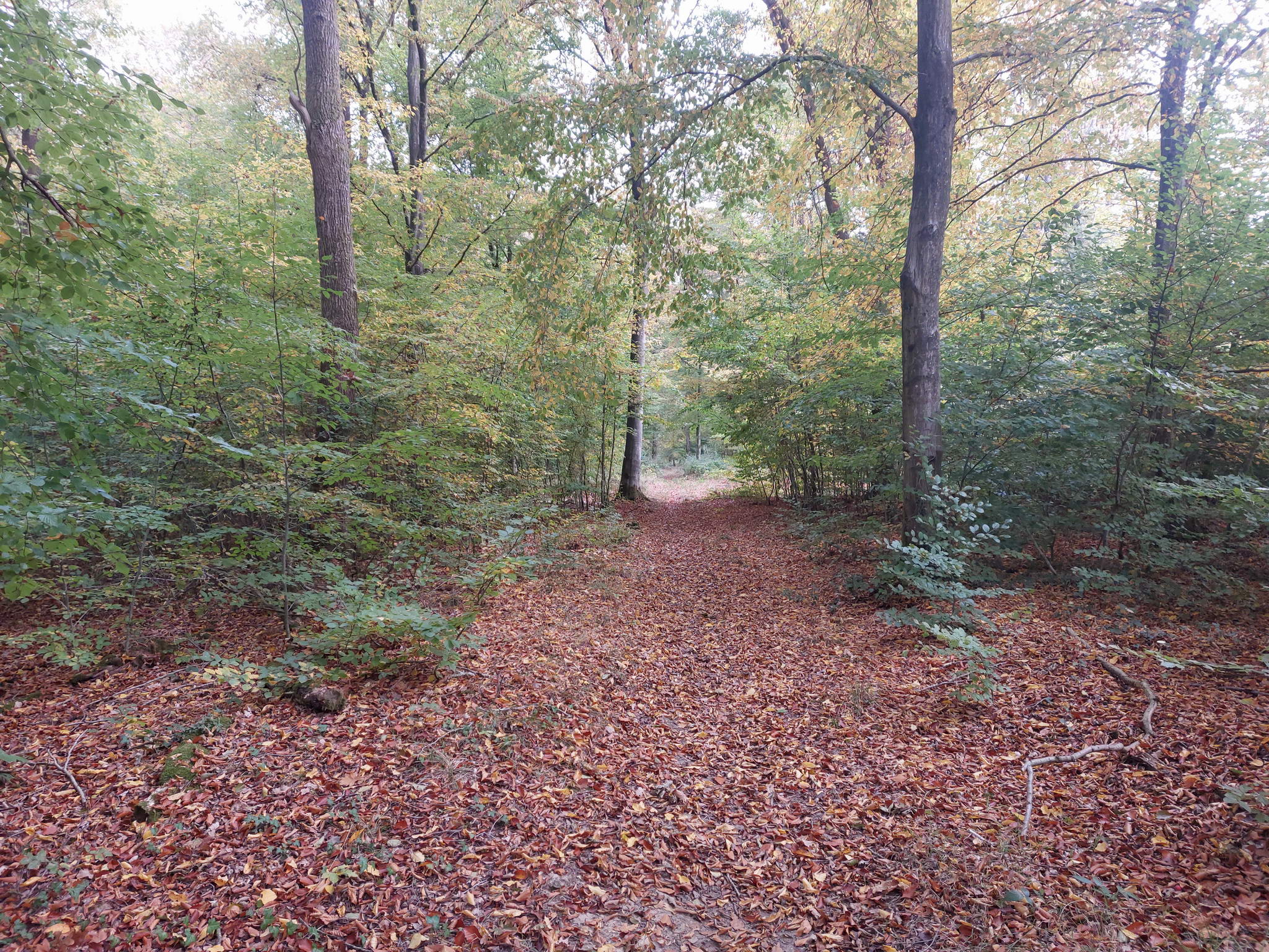 20251019_111738.jpg