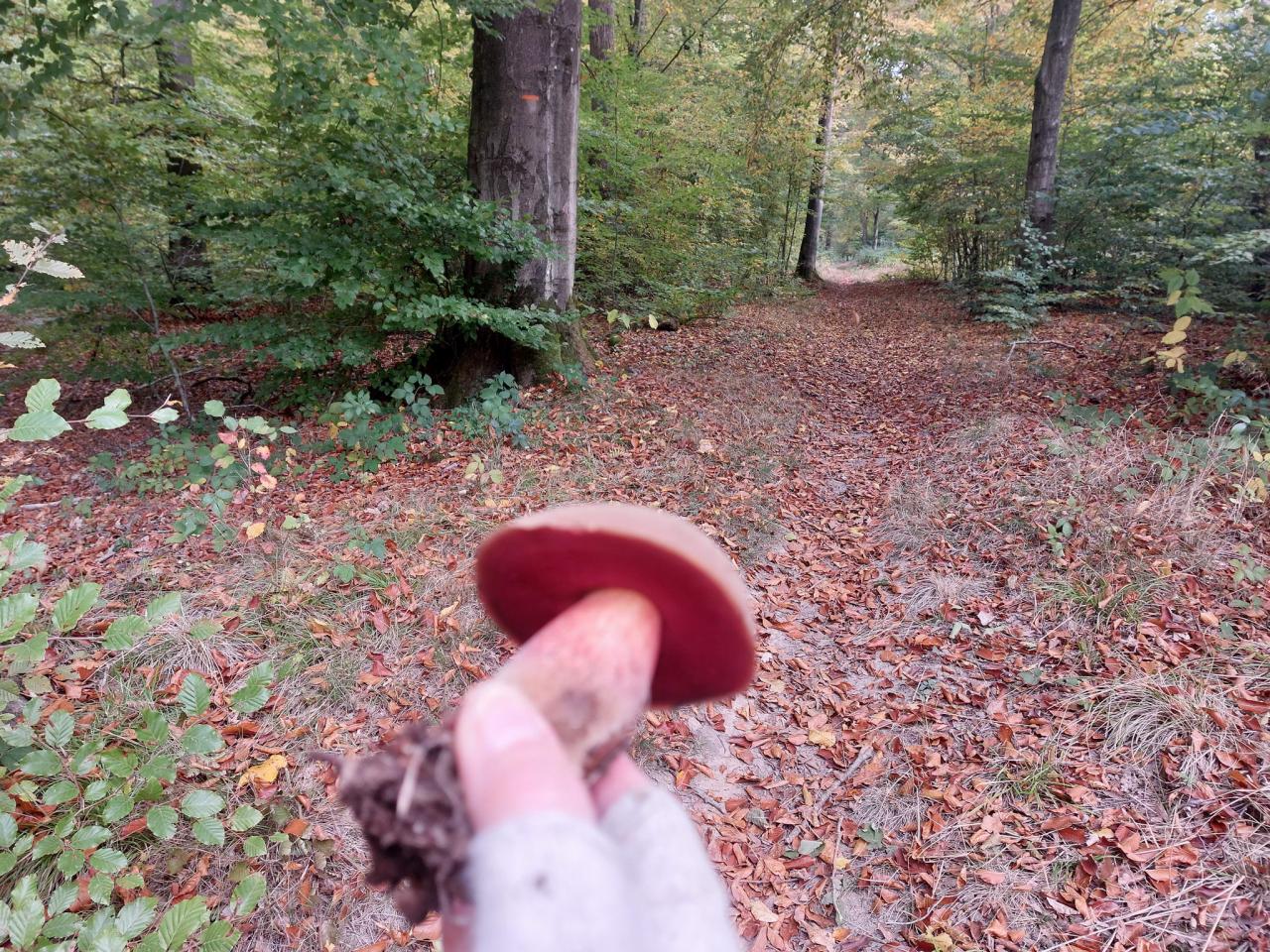 20251019_111822.jpg