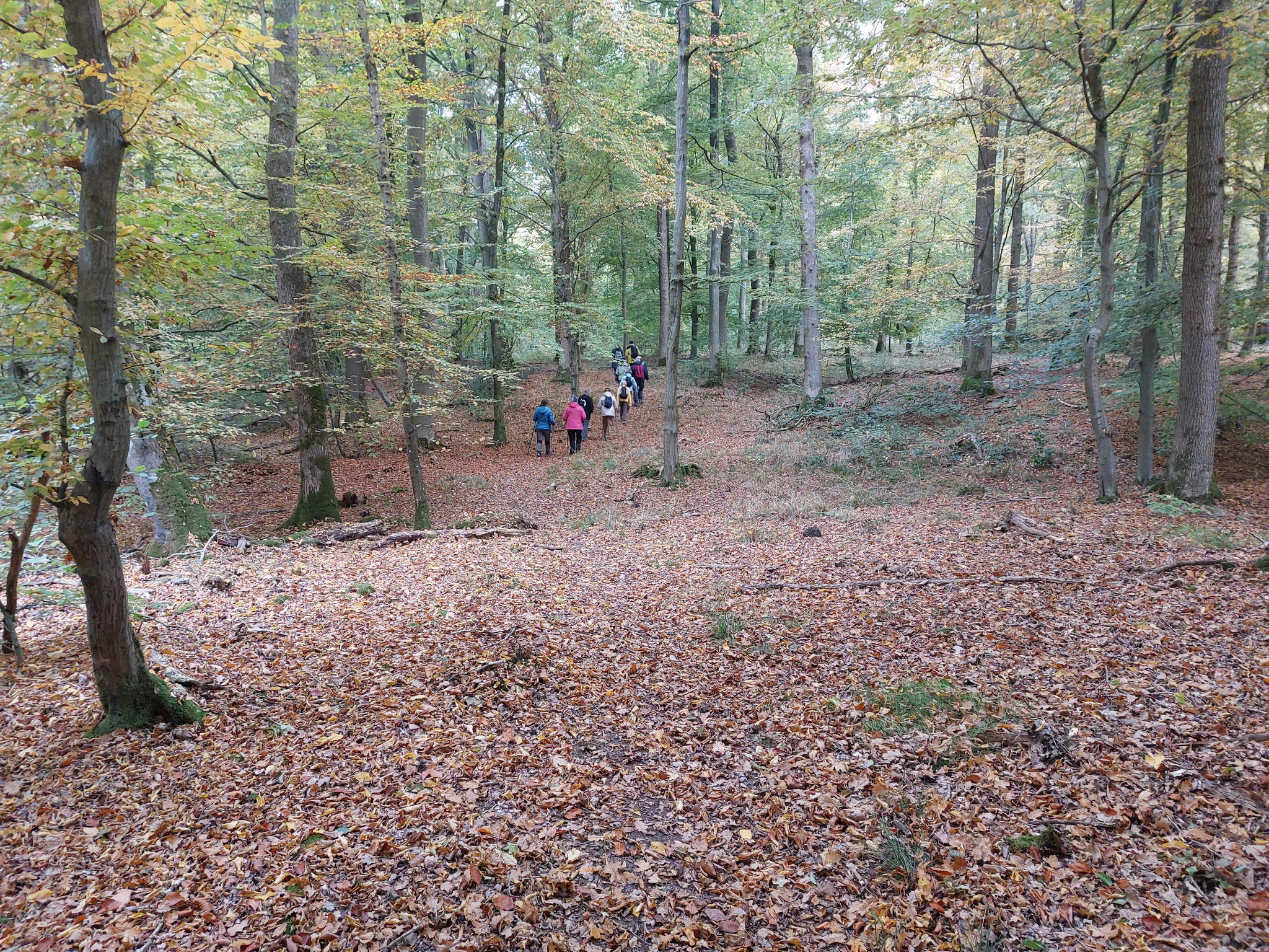20251019_112153.jpg