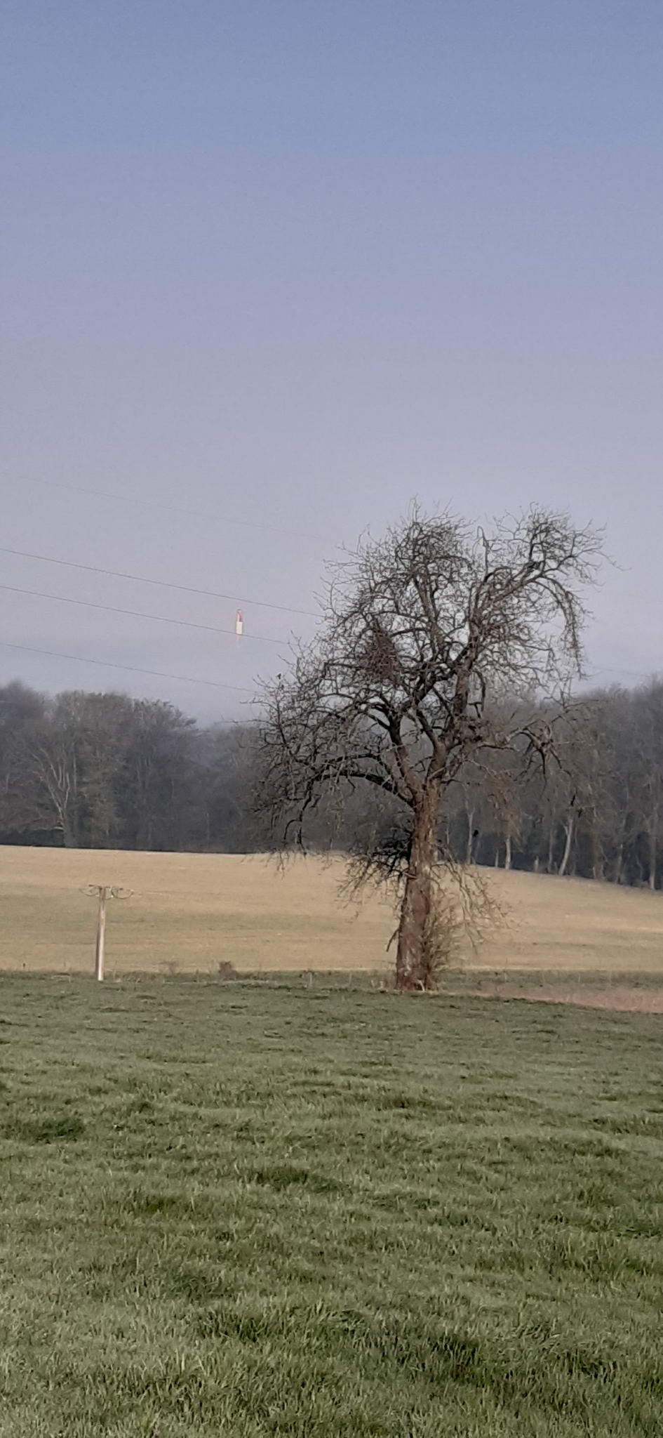 20260315234551513.jpg