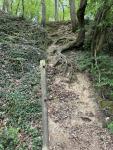 IMG_1465.jpeg