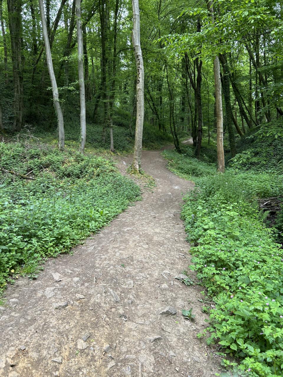 IMG_1474.jpeg