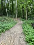IMG_1474.jpeg