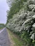 IMG_1479.jpeg