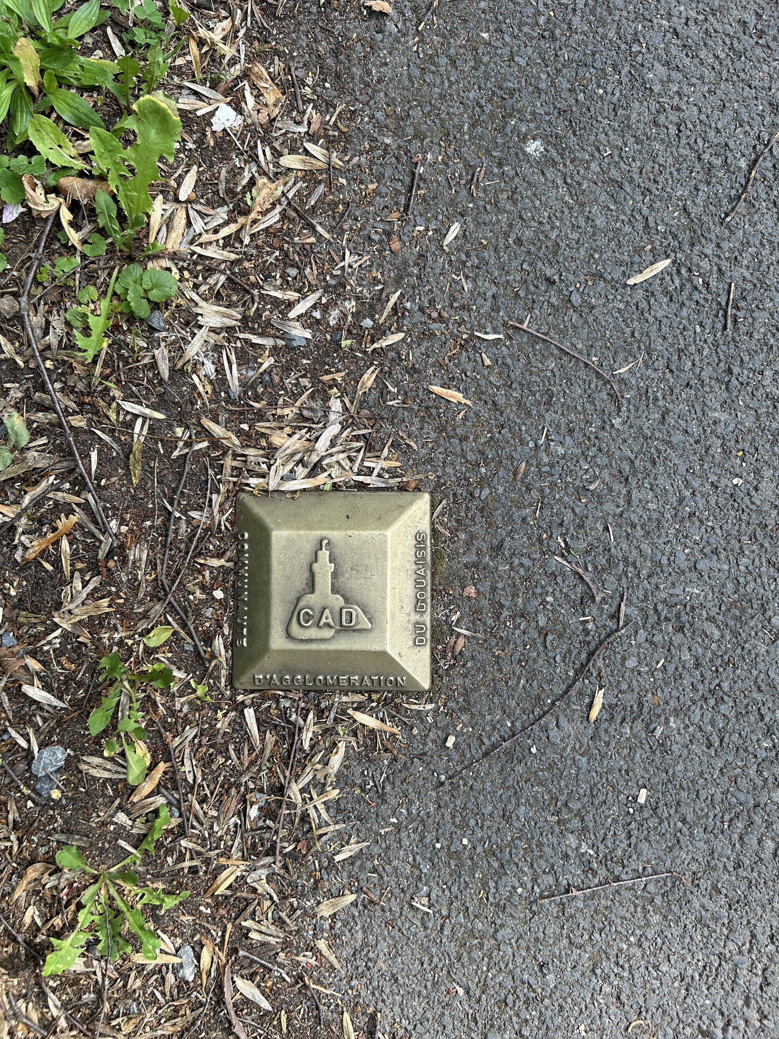 IMG_1582.jpeg
