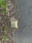 IMG_1582.jpeg
