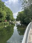 IMG_1587.jpeg