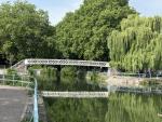 IMG_1594.jpeg