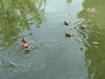 IMG_1597.jpeg