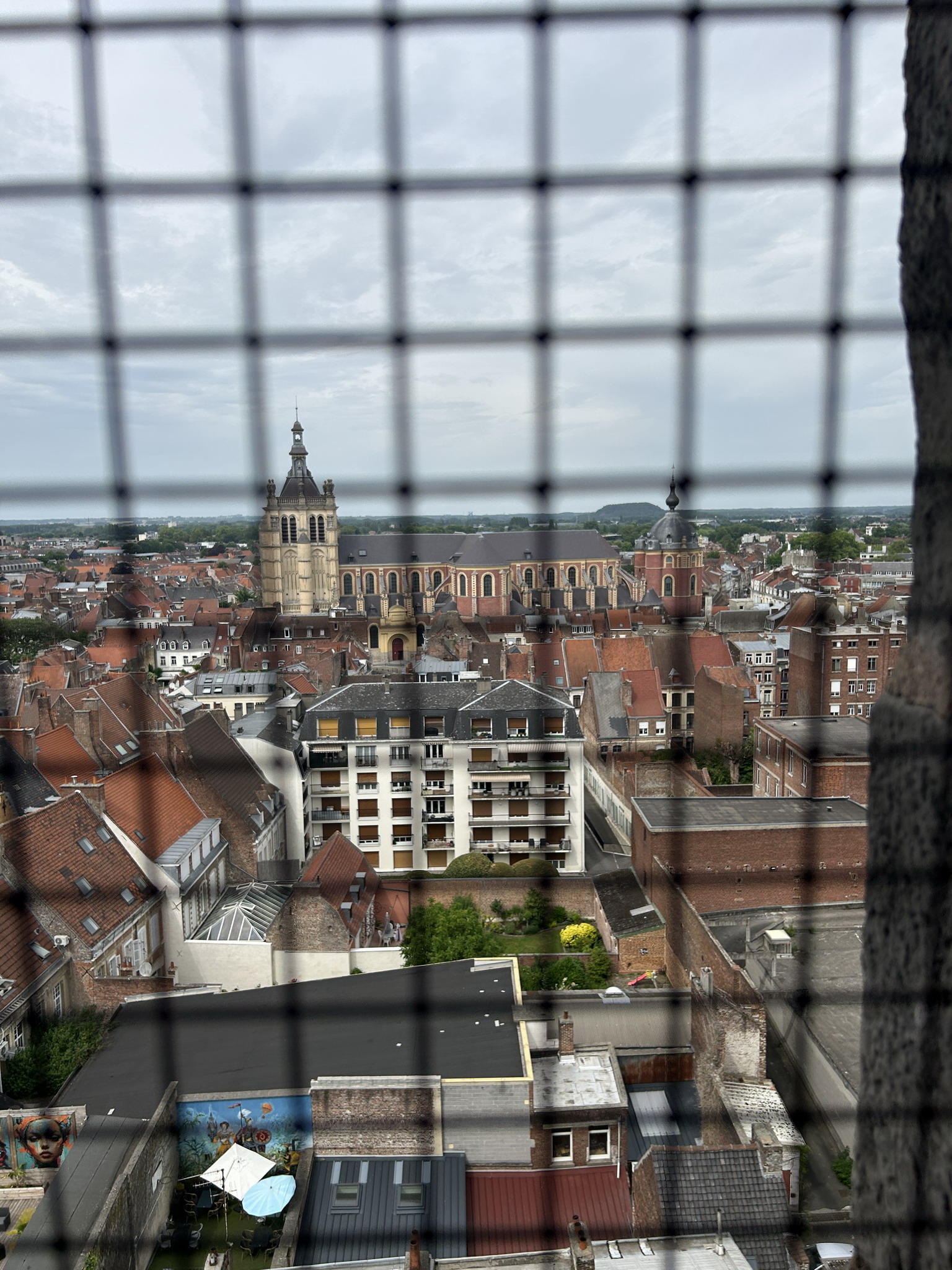 IMG_1710.jpeg
