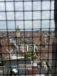 IMG_1710.jpeg