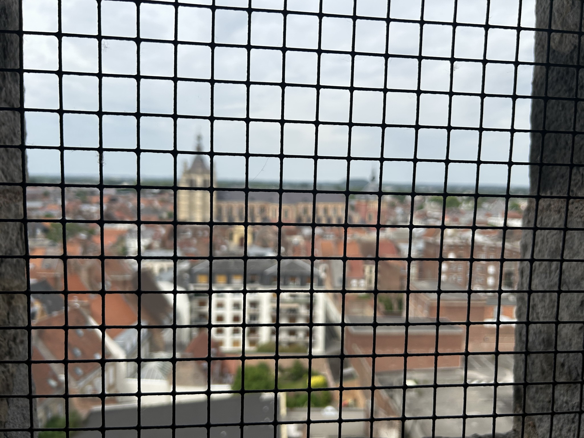 IMG_1713.jpeg