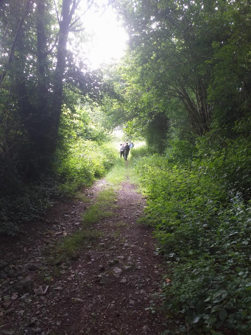 20260607_105114.jpg